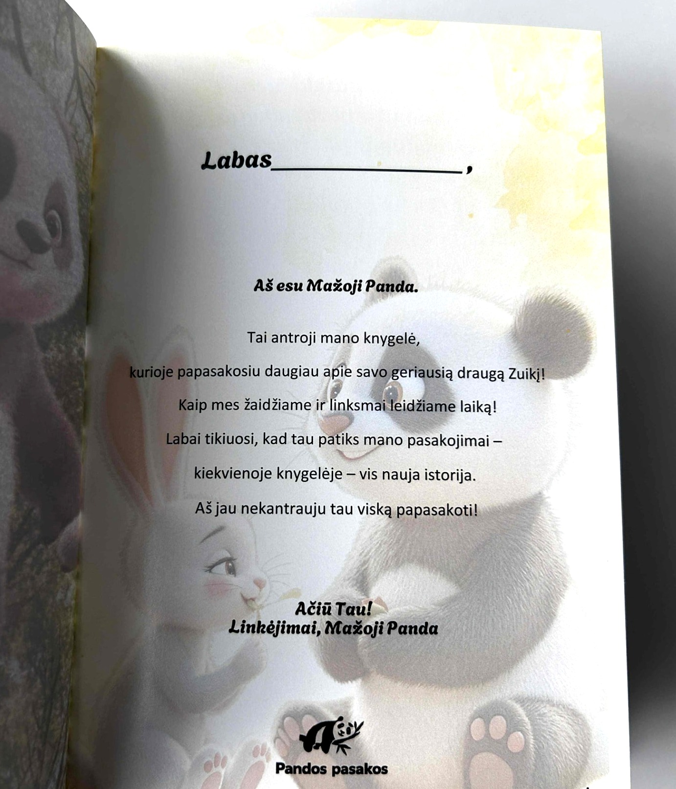 Pandos pasakos vaikams – Mažoji Panda ir geriausias draugas Zuikis – 4 nuotrauka