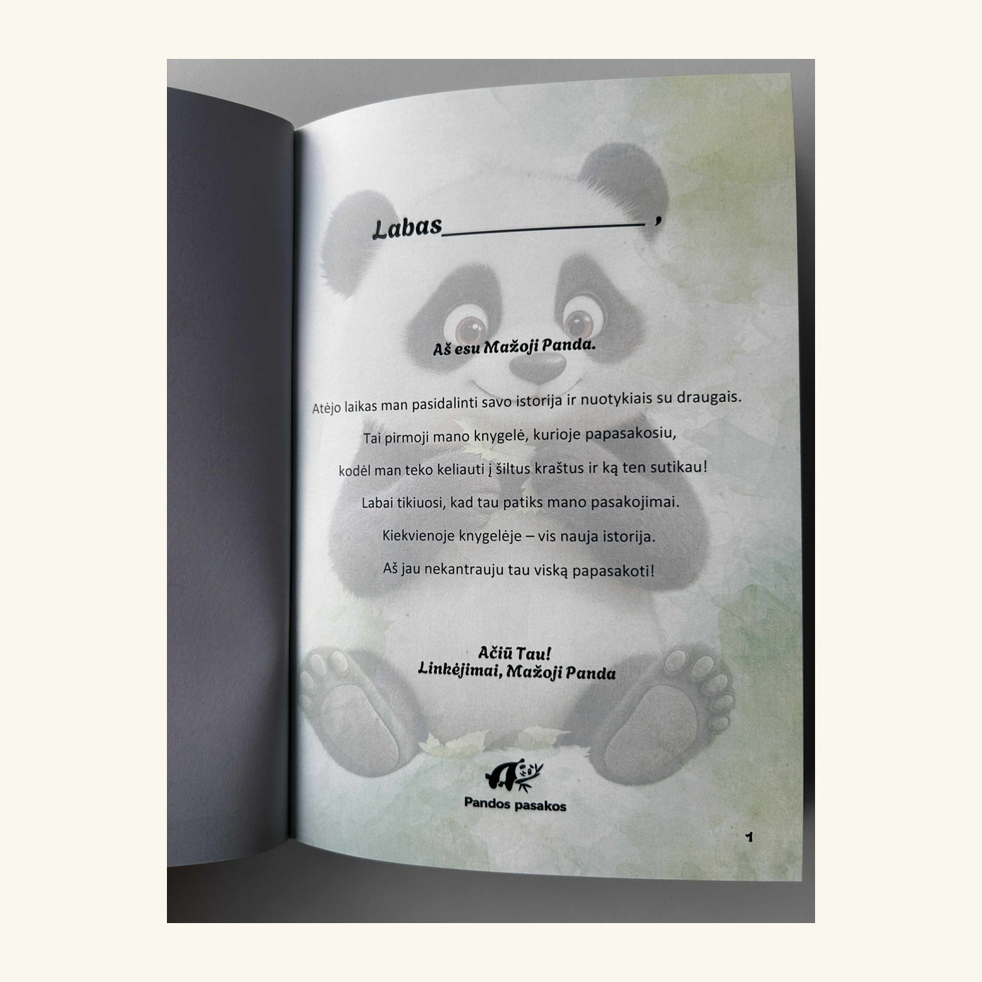 Pandos pasakos vaikams – Mažoji Panda išvyksta į šiltus kraštus – 4 nuotrauka